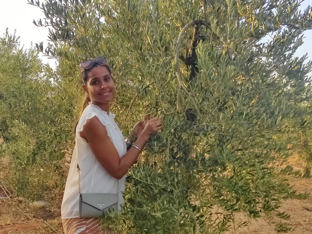       Woman in an olive grove softly touching the branches.
  