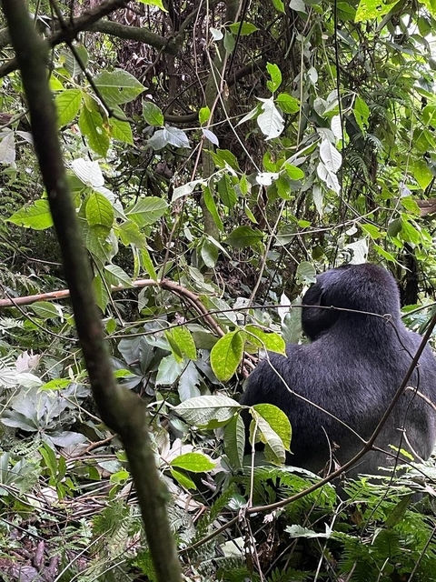 Klantbeoordelingsfoto van Vrienden van de zilverrug 