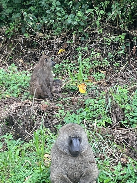 Klantbeoordelingsfoto van Vrienden van de zilverrug 