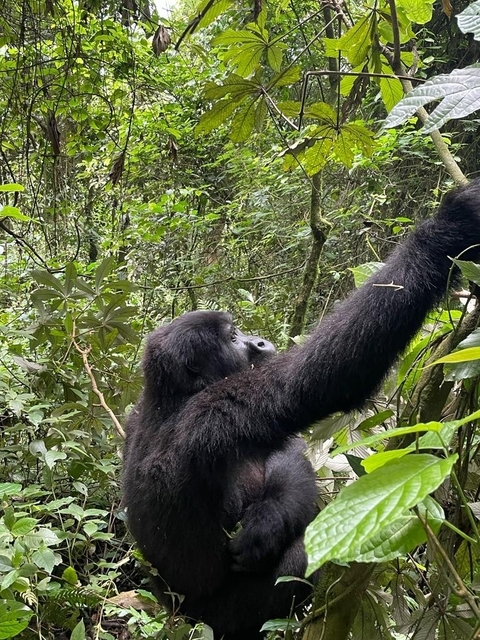Klantbeoordelingsfoto van Vrienden van de zilverrug 