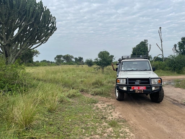 Safari vehicle on a dirt road in a grassy landscape.