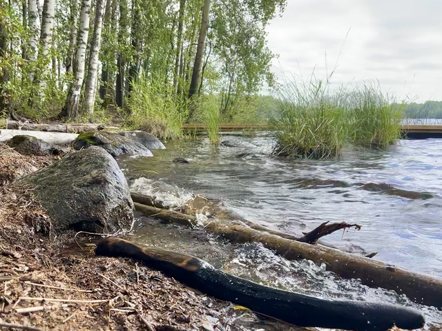       Scenic view of trees, rocks, and water along a lake shore.
  