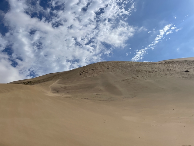       Sand dune under a cloudy sky.
  