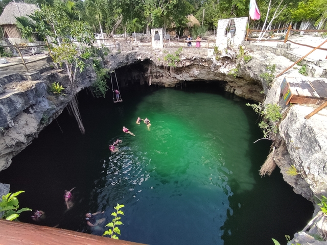 People swimming in a cenote with clear green water.