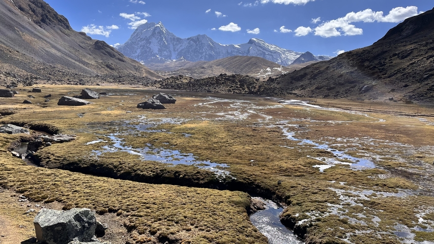 Moody landscape with mountains and a mossy valley.