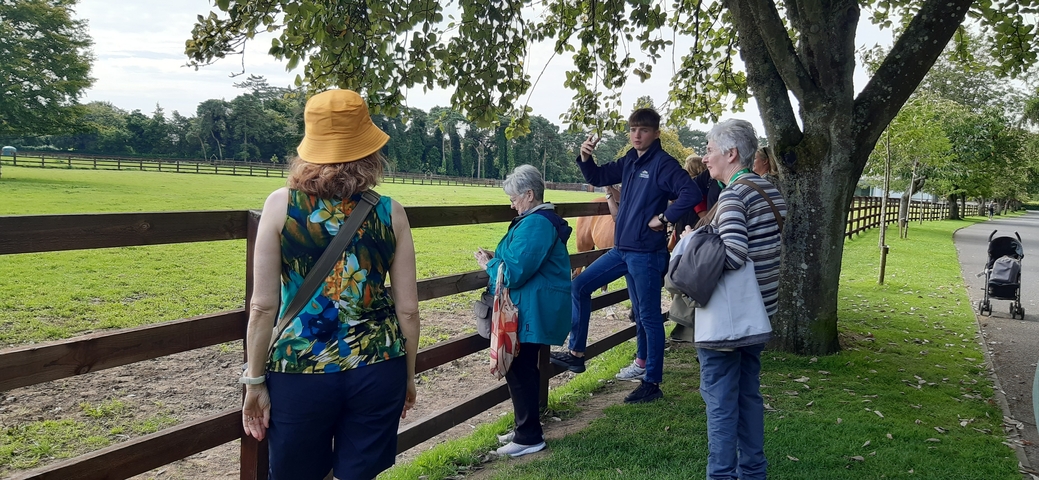 Group of people by a fence in a grassy field.