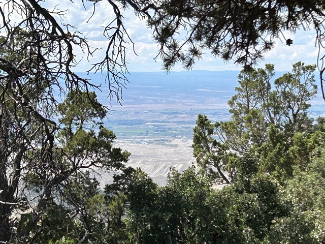       Scenic view through trees overlooking a landscape.
  