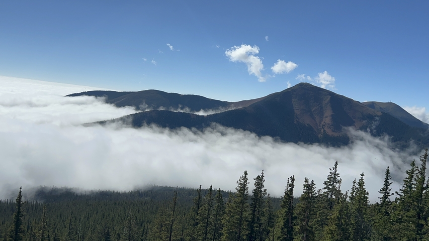       View of a mist-covered mountain range from a forested landscape.
  