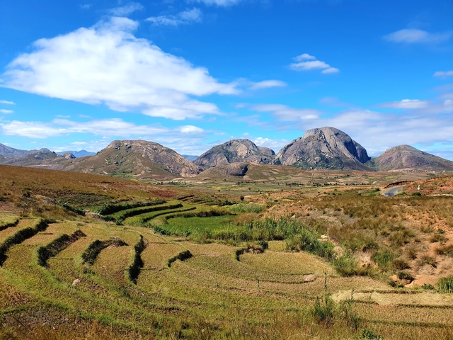 Terraced fields with mountains in the background under a blue sky.
