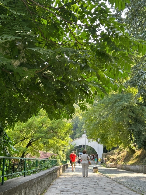 Dome of a building peeking through lush green foliage.