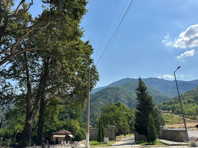 Mountain landscape with trees and power lines.