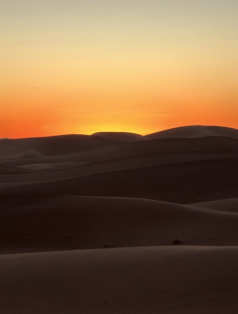       Desert dunes silhouetted against a vibrant sunset.
  
