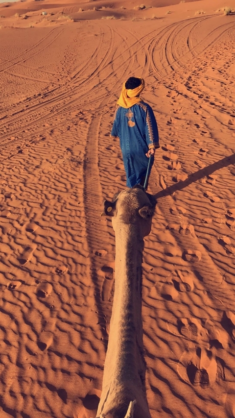       Close-up view from a camel ride in the desert.
  