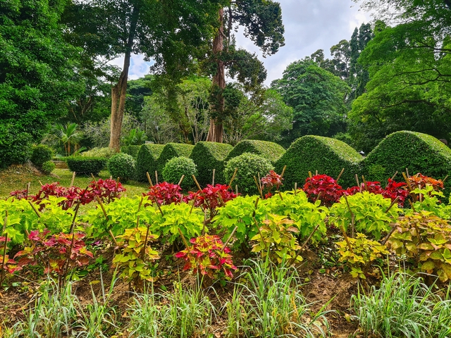       Beautifully manicured gardens with colorful plants.
  
