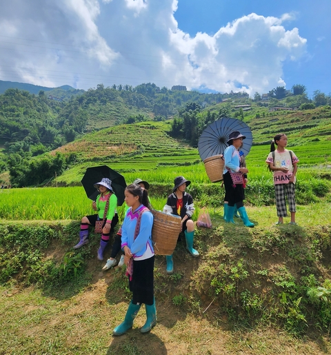 Itinerary Image 9