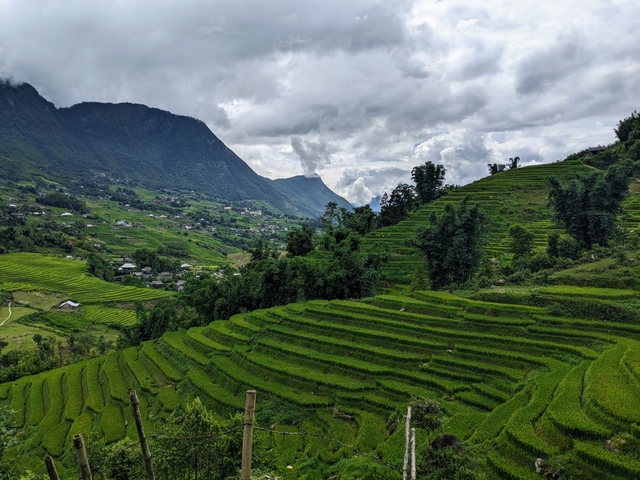       Terraced rice fields with a view of mountains in the background.
  