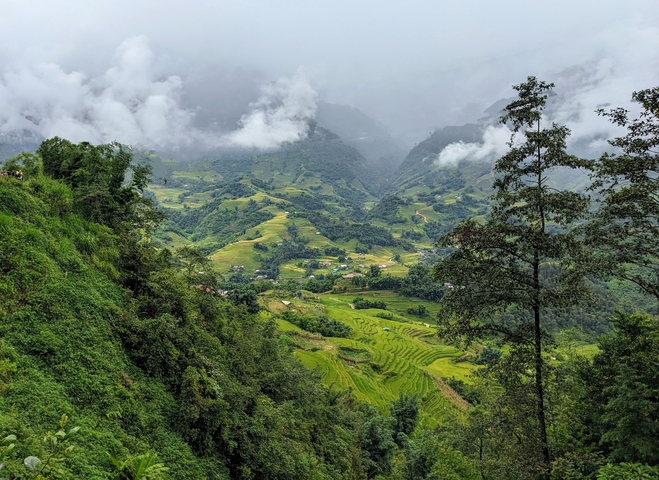       Lush green rice terraces and mountains in a misty setting.
  
