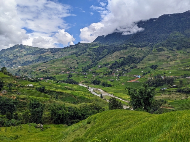       Wide valley with vibrant green rice fields and mountains.
  