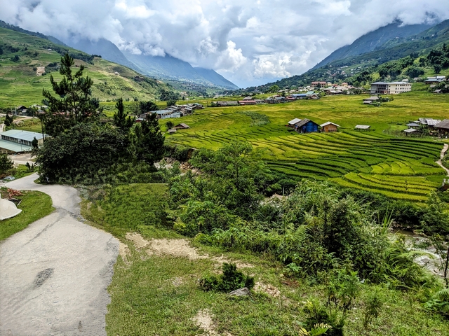 Scenic rice paddies in a valley surrounded by mountains.