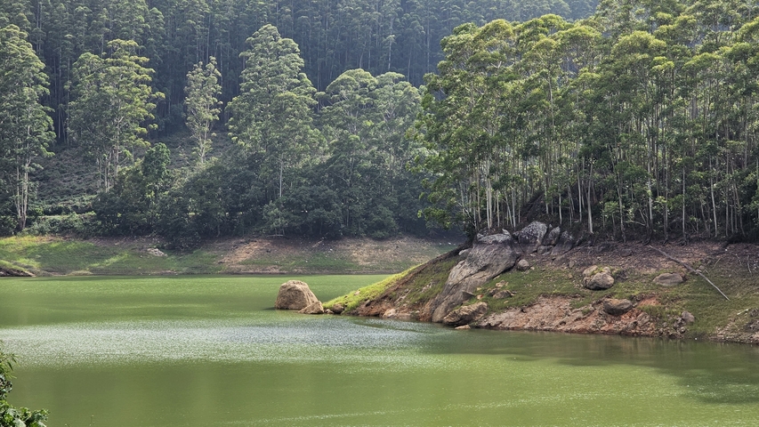       A tranquil lake surrounded by lush greenery.
  