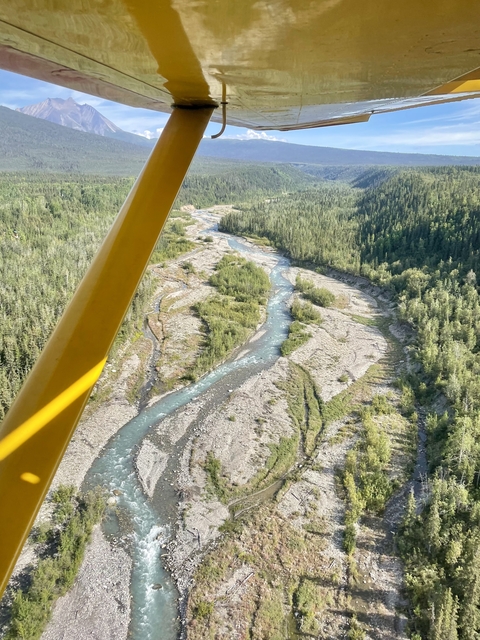       Aerial view of a river in a forest
  
