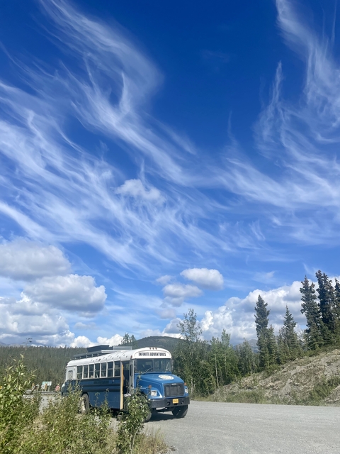       Wispy clouds in a bright blue sky
  