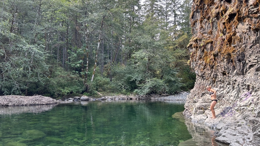       Person standing on a rock by a green river.
  
