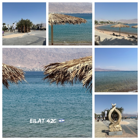 Collage of seaside views with palm-thatched umbrellas.