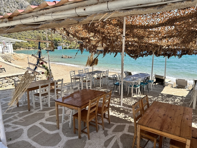       Beachside restaurant with tables and chairs under a leafy canopy.
  