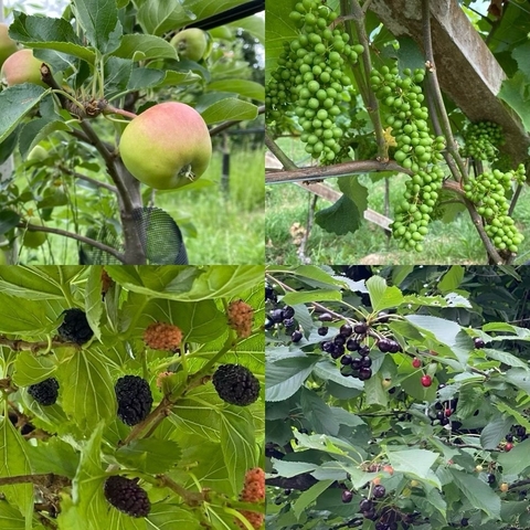       foto de reseña de cliente de En bicicleta por los majestuosos Dolomitas - Cortina a Bolzano - clásico autoguiado 
  