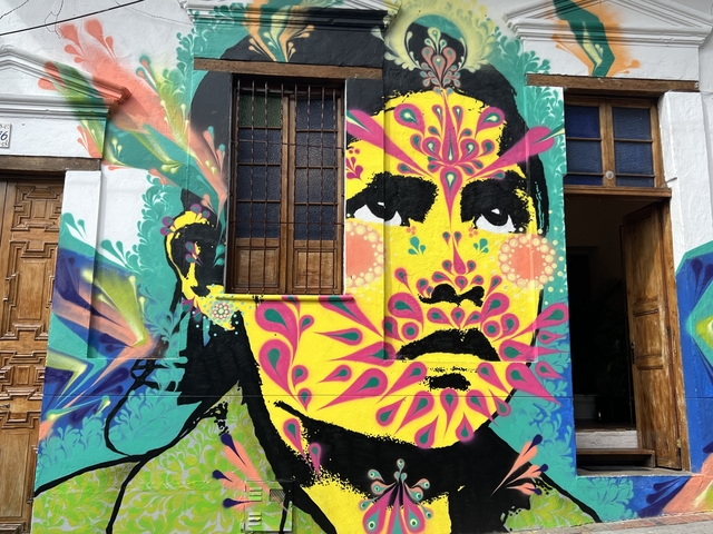 Colorful mural with a face and floral patterns.