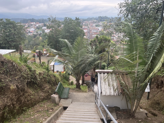 Stairway with palm trees and people in a small town.