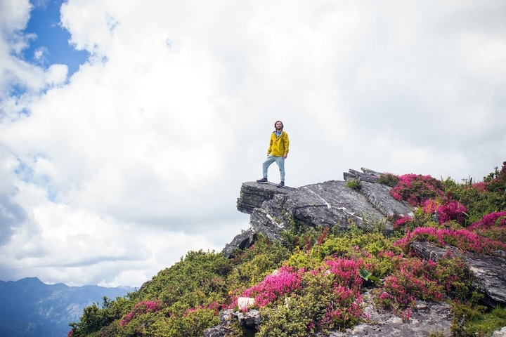 Person standing on a rocky peak with bright flowers around