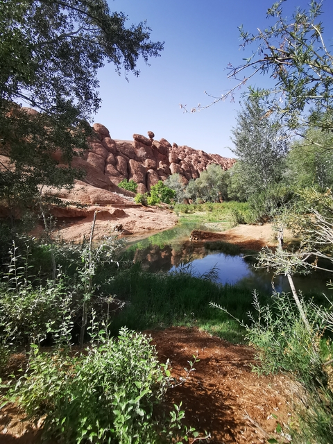       Serene water body surrounded by lush greenery and red rock formations
  