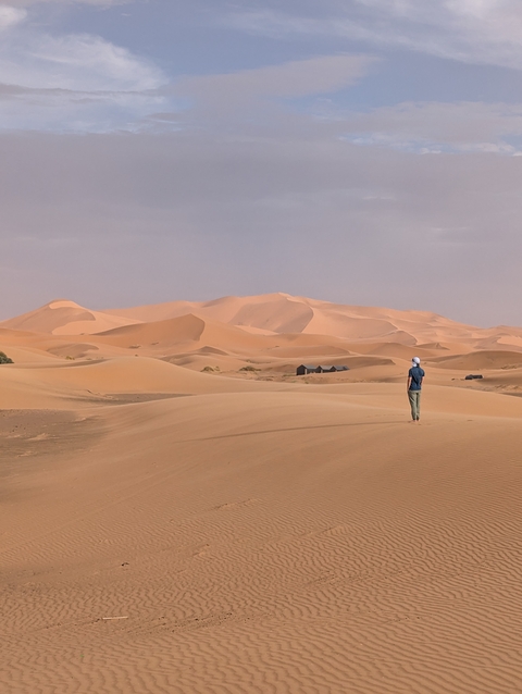       Person walking in desert dunes.
  