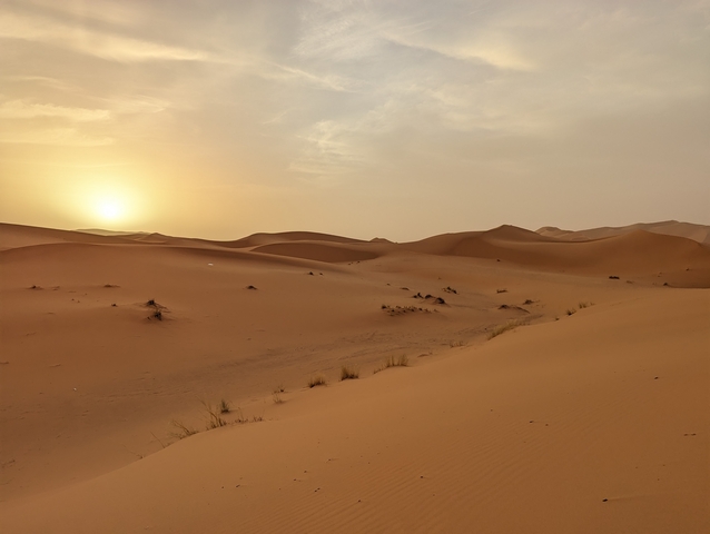       Desert dunes with a setting sun.
  