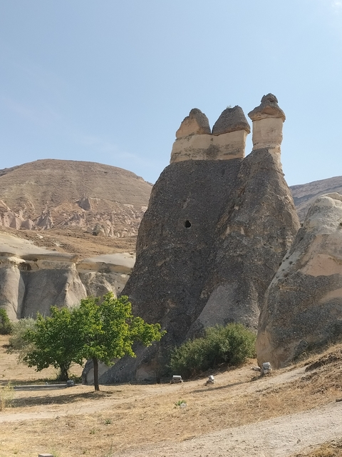       Close-up of unique rock formations in a desert landscape.
  