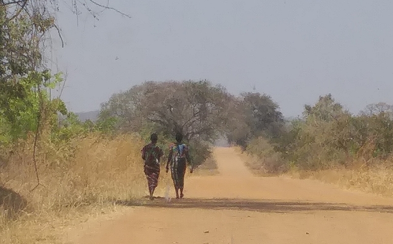 Two people walking along a dusty rural road
