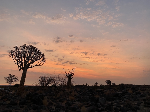       Sunset with silhouetted trees in a rocky landscape.
  