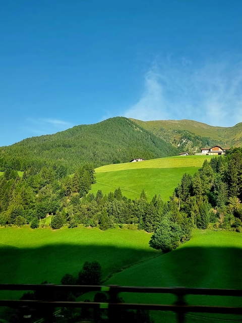A green field with a blue sky and distant mountains.
