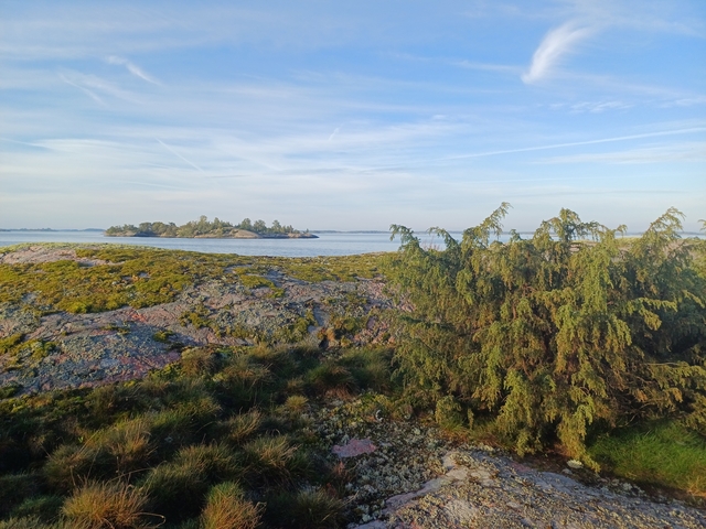 Coastal hills with trees and sea in the background.