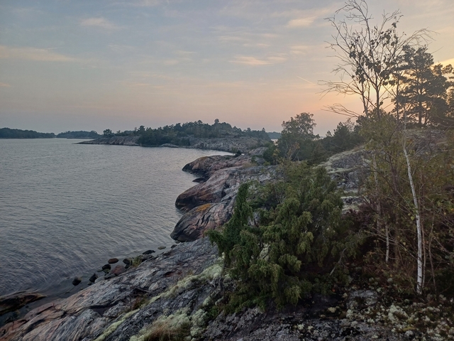       Rocky coast with trees and a sunset.
  