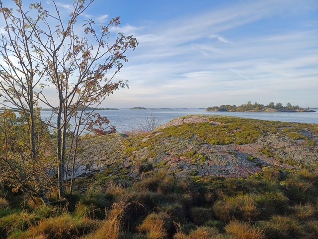       Rocky landscape with shrubs and sea in the distance.
  
