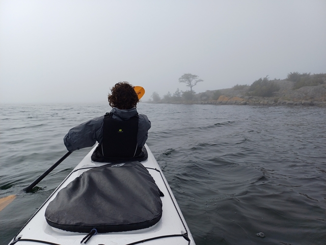       Person kayaking on a misty lake.
  