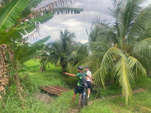 Cyclists paused on a path with palm trees around.
