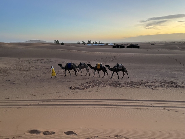 Line of camels led by a person in a desert at sunset.