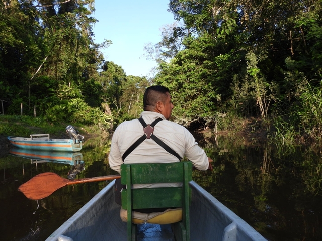 Person canoeing on a river surrounded by lush greenery.