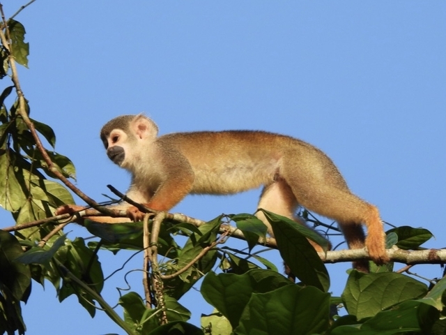 Klantbeoordelingsfoto van Unieke reis door de Amazone - ontmoet duurzame gemeenschappen in Ecuador - incl. maaltijden 