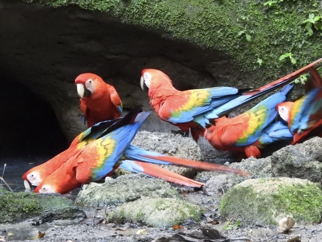 Klantbeoordelingsfoto van Unieke reis door de Amazone - ontmoet duurzame gemeenschappen in Ecuador - incl. maaltijden 