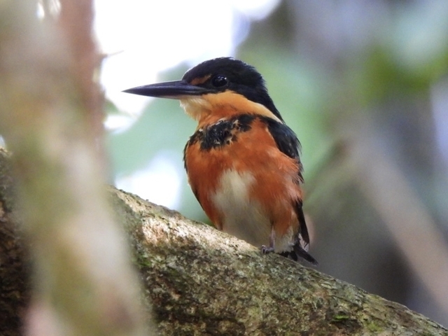 Klantbeoordelingsfoto van Unieke reis door de Amazone - ontmoet duurzame gemeenschappen in Ecuador - incl. maaltijden 